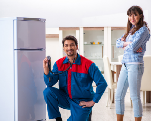 Fridge repair